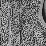SLEEVELESS TRAINER JACKET - POLY JQ. / LEOPARD ¥23,100