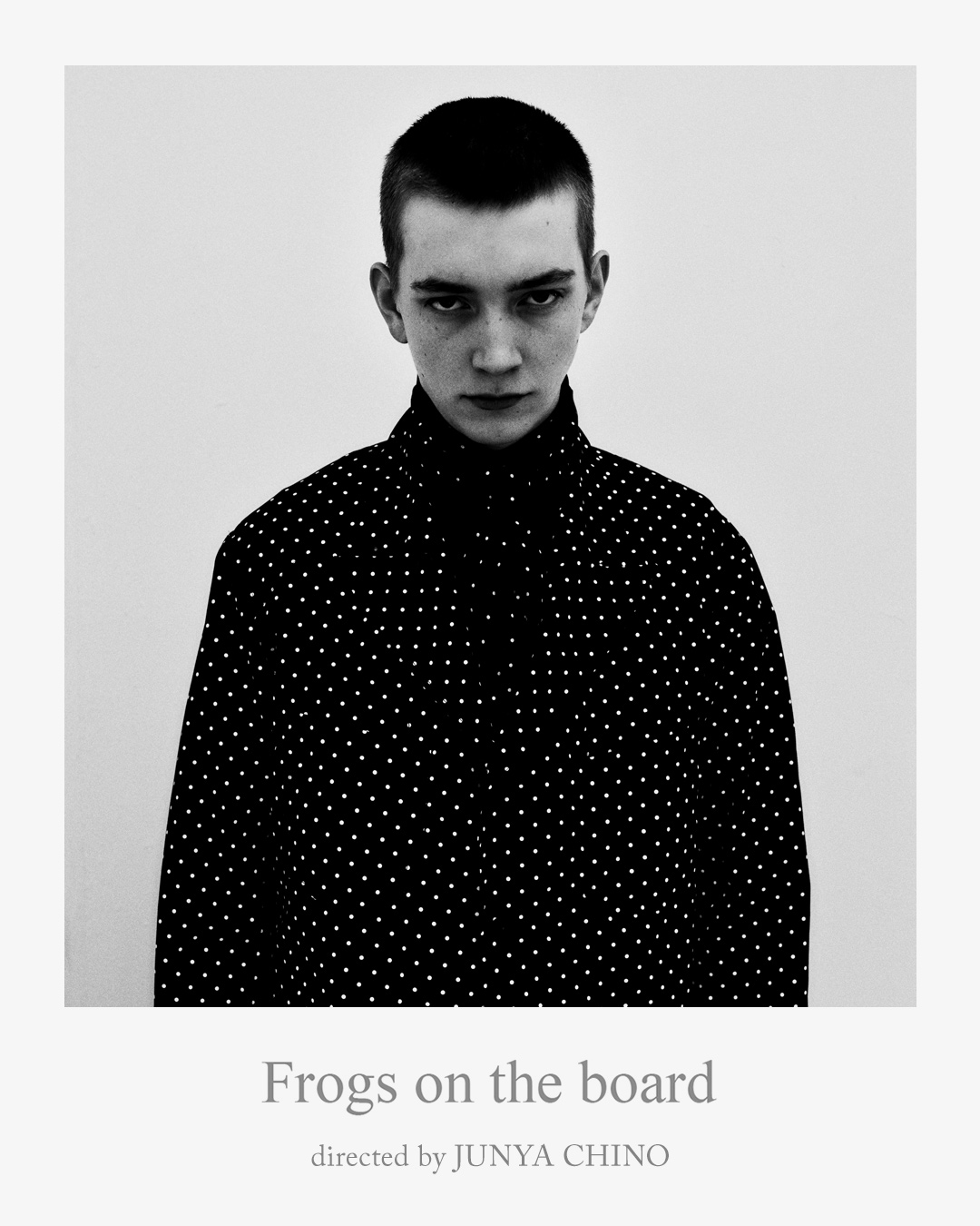 Frogs on the board